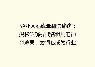企业网站流量翻倍秘诀：揭秘泛解析域名租用的神奇效果，为何它成为行业新宠？