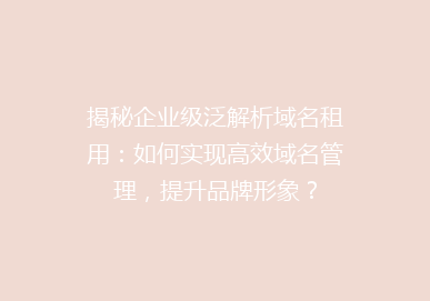 揭秘企业级泛解析域名租用：如何实现高效域名管理，提升品牌形象？