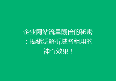 企业网站流量翻倍的秘密：揭秘泛解析域名租用的神奇效果！