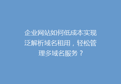 企业网站如何低成本实现泛解析域名租用，轻松管理多域名服务？