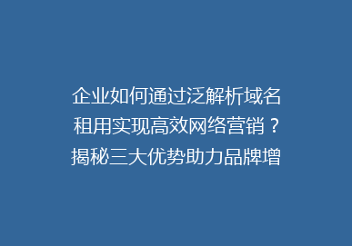 企业如何通过泛解析域名租用实现高效网络营销？揭秘三大优势助力品牌增长！