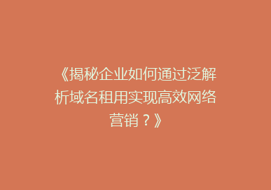 《揭秘企业如何通过泛解析域名租用实现高效网络营销？》