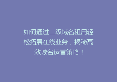 如何通过二级域名租用轻松拓展在线业务，揭秘高效域名运营策略！