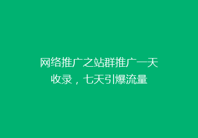 网络推广之站群推广一天收录，七天引爆流量