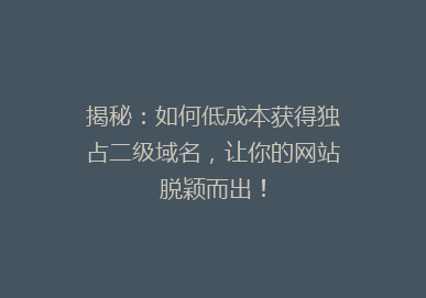 揭秘：如何低成本获得独占二级域名，让你的网站脱颖而出！