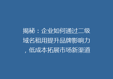 揭秘：企业如何通过二级域名租用提升品牌影响力，低成本拓展市场新渠道？