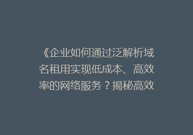 《企业如何通过泛解析域名租用实现低成本、高效率的网络服务？揭秘高效网络运营的秘密武器》
