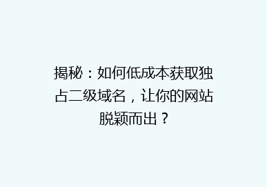 揭秘：如何低成本获取独占二级域名，让你的网站脱颖而出？