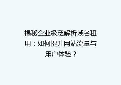 揭秘企业级泛解析域名租用：如何提升网站流量与用户体验？