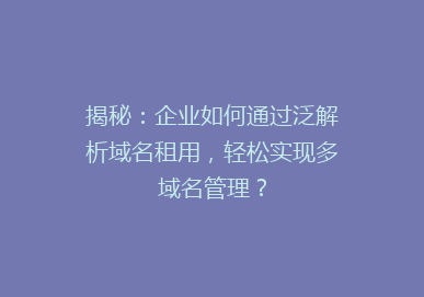 揭秘：企业如何通过泛解析域名租用，轻松实现多域名管理？