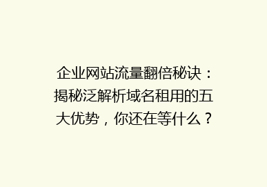 企业网站流量翻倍秘诀：揭秘泛解析域名租用的五大优势，你还在等什么？
