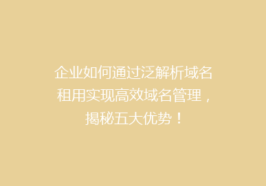 企业如何通过泛解析域名租用实现高效域名管理，揭秘五大优势！