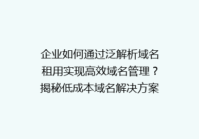 企业如何通过泛解析域名租用实现高效域名管理？揭秘低成本域名解决方案！