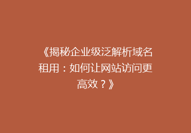《揭秘企业级泛解析域名租用：如何让网站访问更高效？》