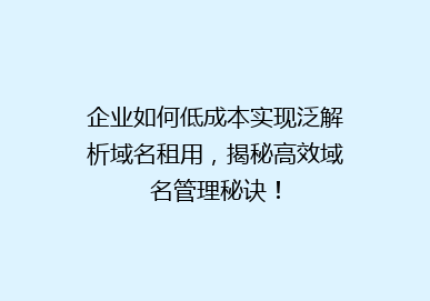 企业如何低成本实现泛解析域名租用，揭秘高效域名管理秘诀！