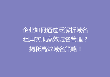 企业如何通过泛解析域名租用实现高效域名管理？揭秘高效域名策略！