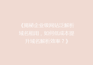 《揭秘企业级网站泛解析域名租用，如何低成本提升域名解析效率？》