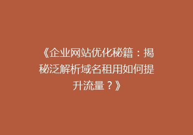 《企业网站优化秘籍：揭秘泛解析域名租用如何提升流量？》
