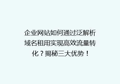 企业网站如何通过泛解析域名租用实现高效流量转化？揭秘三大优势！