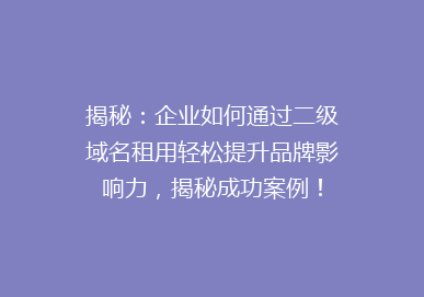 揭秘：企业如何通过二级域名租用轻松提升品牌影响力，揭秘成功案例！
