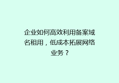 企业如何高效利用备案域名租用，低成本拓展网络业务？