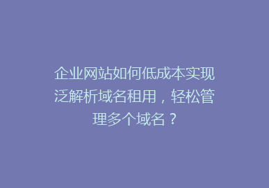 企业网站如何低成本实现泛解析域名租用，轻松管理多个域名？