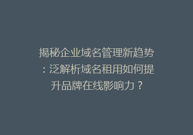 揭秘企业域名管理新趋势：泛解析域名租用如何提升品牌在线影响力？