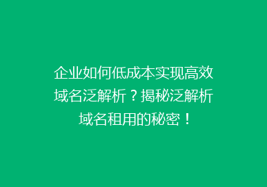 企业如何低成本实现高效域名泛解析？揭秘泛解析域名租用的秘密！