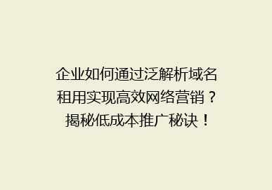 企业如何通过泛解析域名租用实现高效网络营销？揭秘低成本推广秘诀！
