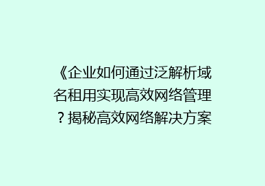 《企业如何通过泛解析域名租用实现高效网络管理？揭秘高效网络解决方案》