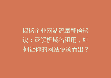 揭秘企业网站流量翻倍秘诀：泛解析域名租用，如何让你的网站脱颖而出？