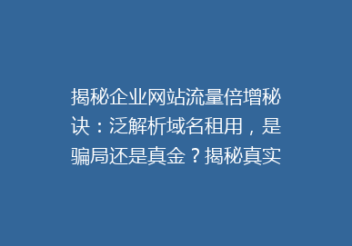 揭秘企业网站流量倍增秘诀：泛解析域名租用，是骗局还是真金？揭秘真实案例！