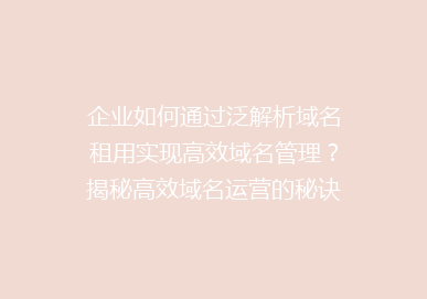 企业如何通过泛解析域名租用实现高效域名管理？揭秘高效域名运营的秘诀！