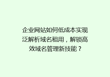 企业网站如何低成本实现泛解析域名租用，解锁高效域名管理新技能？