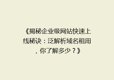 《揭秘企业级网站快速上线秘诀：泛解析域名租用，你了解多少？》