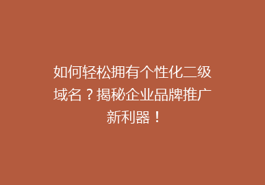 如何轻松拥有个性化二级域名？揭秘企业品牌推广新利器！