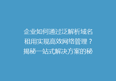企业如何通过泛解析域名租用实现高效网络管理？揭秘一站式解决方案的秘密！
