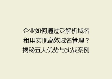 企业如何通过泛解析域名租用实现高效域名管理？揭秘五大优势与实战案例！