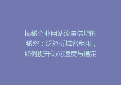 揭秘企业网站流量倍增的秘密：泛解析域名租用，如何提升访问速度与稳定性？