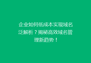 企业如何低成本实现域名泛解析？揭秘高效域名管理新趋势！