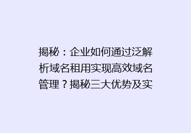 揭秘：企业如何通过泛解析域名租用实现高效域名管理？揭秘三大优势及实操技巧！
