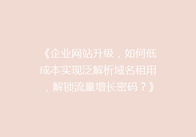 《企业网站升级，如何低成本实现泛解析域名租用，解锁流量增长密码？》