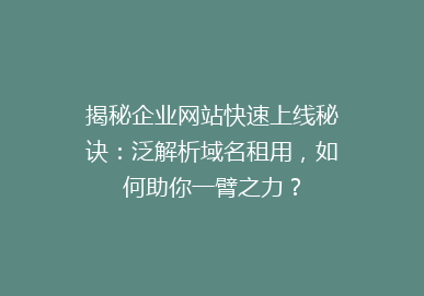 揭秘企业网站快速上线秘诀：泛解析域名租用，如何助你一臂之力？