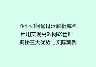 企业如何通过泛解析域名租用实现高效网络管理，揭秘三大优势与实际案例！