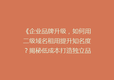 《企业品牌升级，如何用二级域名租用提升知名度？揭秘低成本打造独立品牌的秘密！》