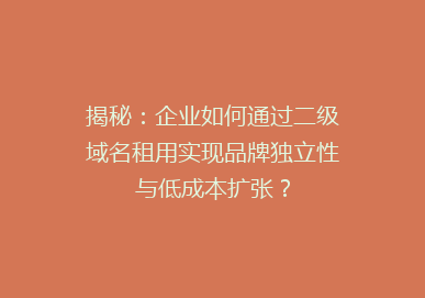 揭秘：企业如何通过二级域名租用实现品牌独立性与低成本扩张？