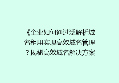 《企业如何通过泛解析域名租用实现高效域名管理？揭秘高效域名解决方案》