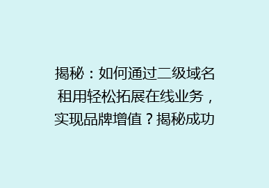 揭秘：如何通过二级域名租用轻松拓展在线业务，实现品牌增值？揭秘成功率高达90%的秘诀！