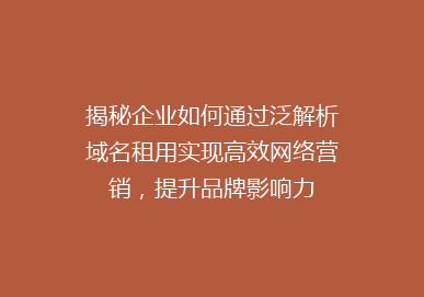 揭秘企业如何通过泛解析域名租用实现高效网络营销，提升品牌影响力