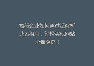 揭秘企业如何通过泛解析域名租用，轻松实现网站流量翻倍！